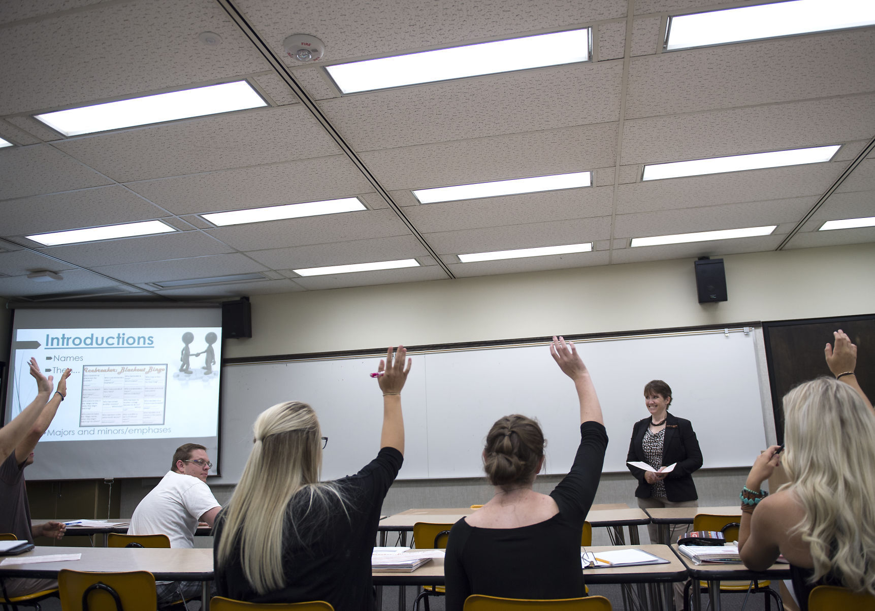 Bachelor's degrees at CSI